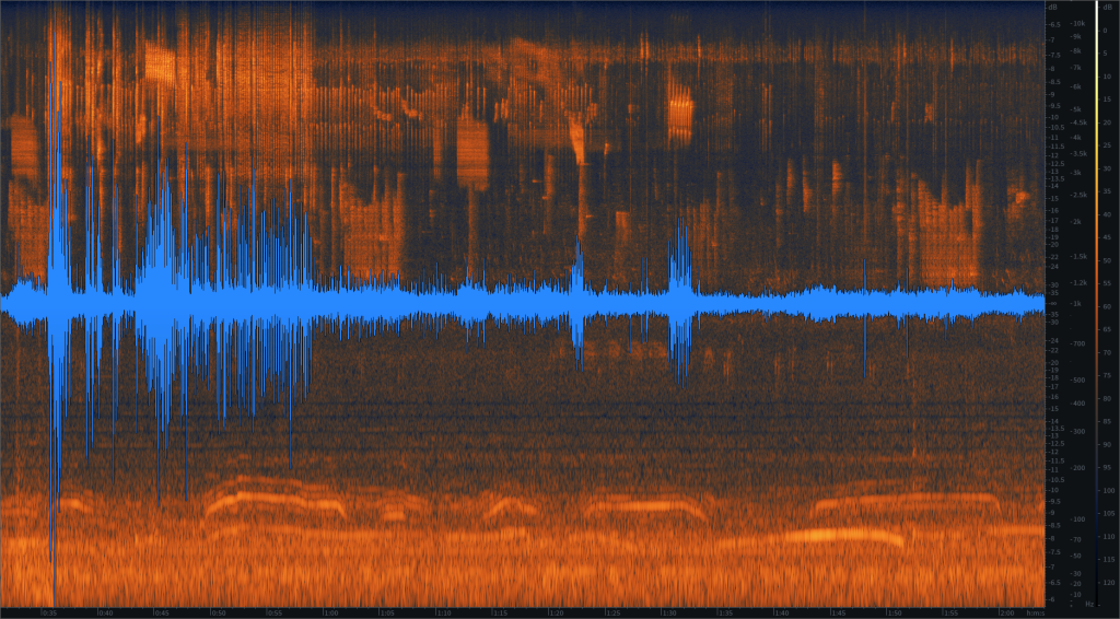 Panel 1 (0:32 to 2:03 on sound recording). Blue tracing is the amplitude of all sounds (loudness) in decibels (dB). Orange section represents the frequencies of the various sounds in hertz (Hz).