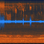 Panel 1 (0:32 to 2:03 on sound recording). Blue tracing is the amplitude of all sounds (loudness) in decibels (dB). Orange section represents the frequencies of the various sounds in hertz (Hz).