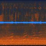 Panel 2 (4:37 to 6:04 on sound recording). Blue tracing is the amplitude of all sounds (loudness) in decibels (dB). Orange section represents the frequencies of the various sounds in hertz (Hz).